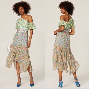 AMUR Jaylah Dress in Multi Anemone Floral Size 10